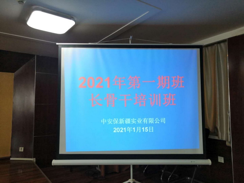 20210118131555_9425 20210118131555_9425